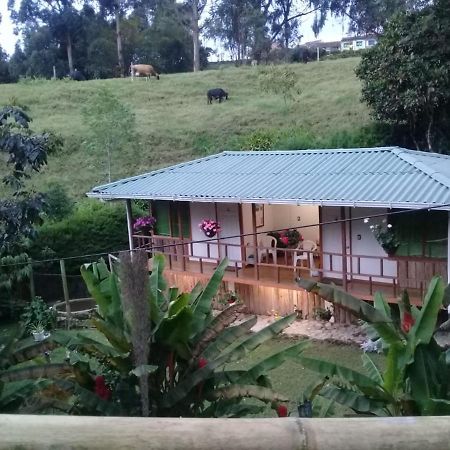 סאלנטו Hotel Selva Verde מראה חיצוני תמונה