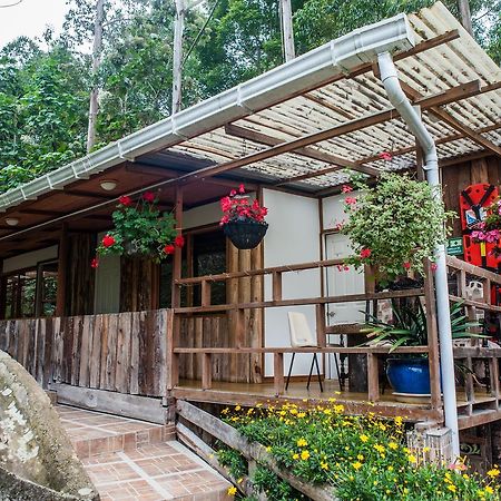 סאלנטו Hotel Selva Verde מראה חיצוני תמונה
