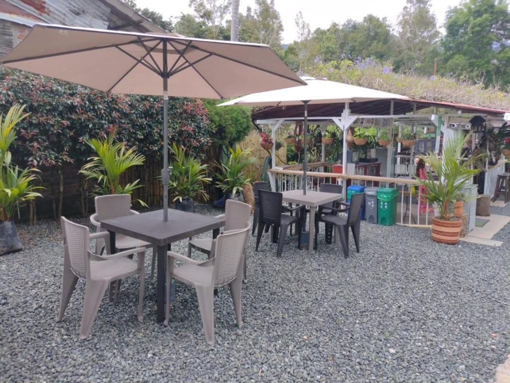 סאלנטו Hotel Selva Verde מראה חיצוני תמונה