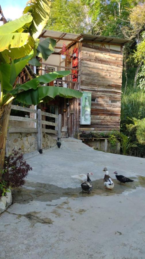 סאלנטו Hotel Selva Verde מראה חיצוני תמונה
