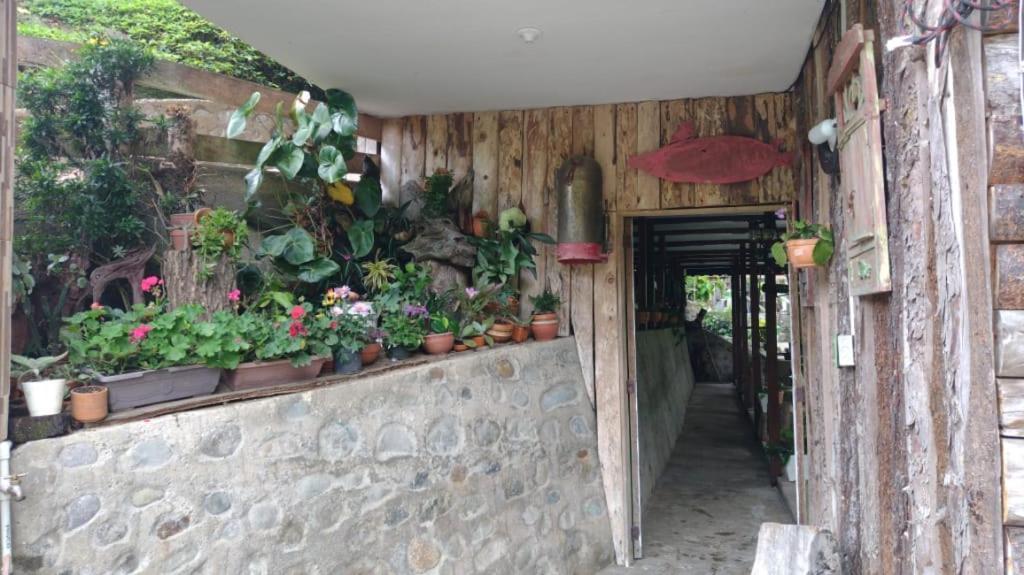 סאלנטו Hotel Selva Verde מראה חיצוני תמונה