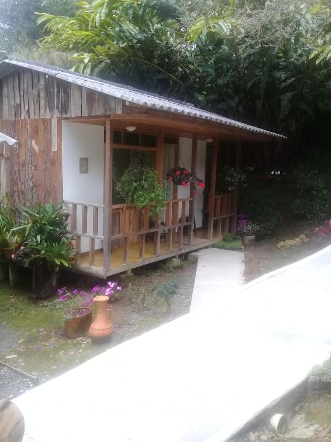 סאלנטו Hotel Selva Verde מראה חיצוני תמונה