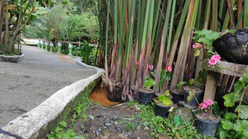 סאלנטו Hotel Selva Verde מראה חיצוני תמונה