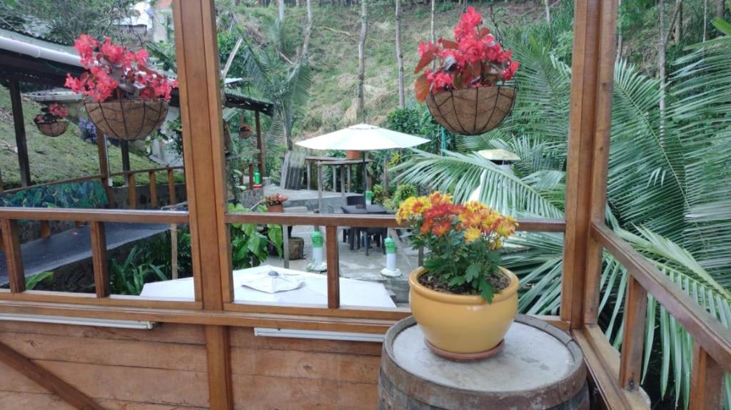 סאלנטו Hotel Selva Verde מראה חיצוני תמונה