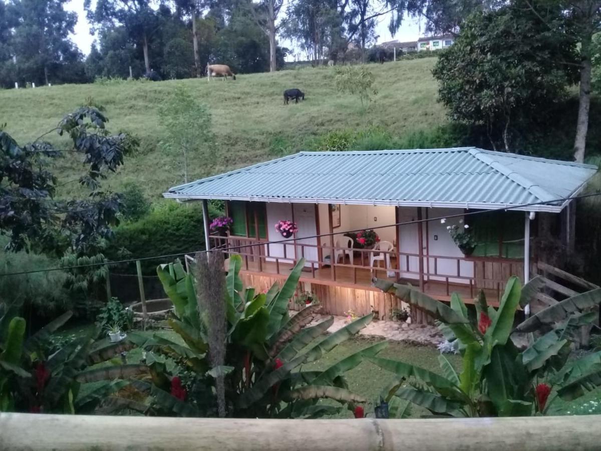 סאלנטו Hotel Selva Verde מראה חיצוני תמונה